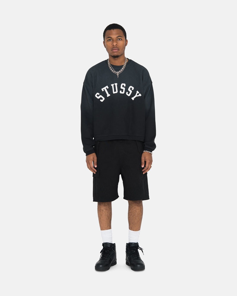 Stussy Sun Faded Oversized Crew Sweatshirt Svarta | Sverige NAT-304618