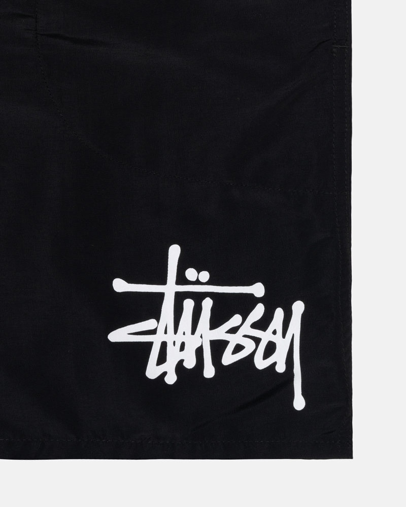 Stussy Vatten Korta Big Basic Shorts Svarta | Sverige MDP-748035